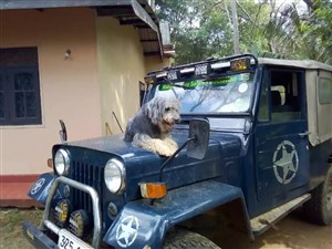 mitsubishi-jeep-1987-others-for-sale-in-kurunegala