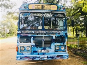 ashok-leyland-2011-2011-buses-for-sale-in-colombo