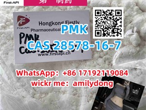 sale CAS 28578-16-7 PMK pmk powder