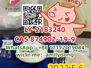 CAS 874902-19-9 LY-2183240 china sales