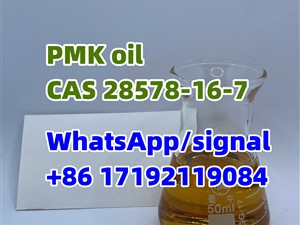 pmk/PMK Oil hot sale CAS 28578-16-7