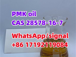 china pmk/PMK Oil CAS 28578-16-7