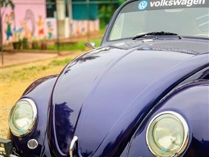 volkswagen-beetle-1969-cars-for-sale-in-jaffna