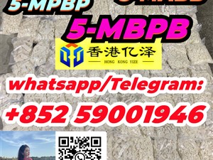 suzuki-5-mbpb-,5-mpbp-,5-mabb-2015-trucks-for-sale-in-gampaha