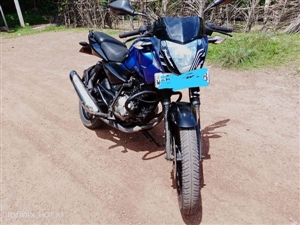 bajaj-pulsar-135-2013-cars-for-sale-in-kalutara