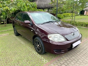 toyota-corolla-2003-cars-for-sale-in-colombo