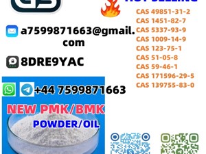zotye-49851-31-2-2025-others-for-sale-in-colombo