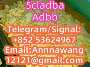 austin-strongest-5cladba-5cl-adb-a-precursor-2022-trucks-for-sale-in-ampara