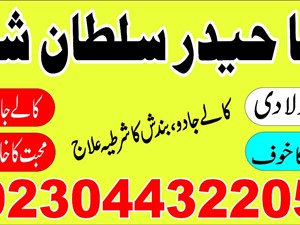 other-65665-2015-others-for-sale-in-moneragala