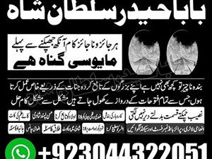 other-65665-2015-others-for-sale-in-moneragala