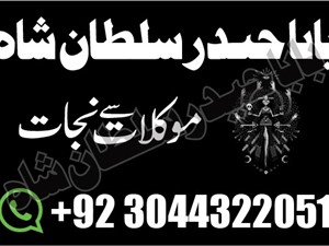 other-65665-2015-others-for-sale-in-moneragala