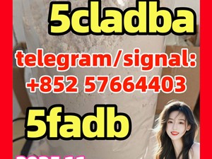 audi-5cladba-adbbworry-free-after-sales-2015-buses-for-sale-in-anuradapura