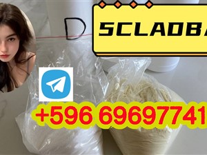 bmw-m-2015-trucks-for-sale-in-kalutara