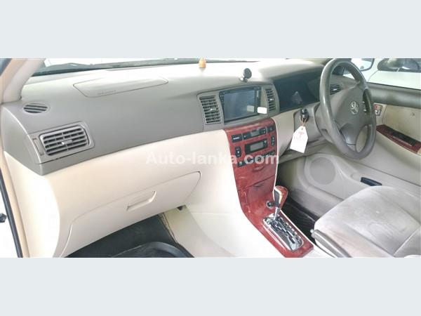 syneja car rent