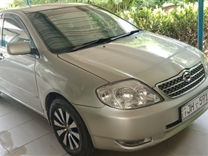 syneja car rent