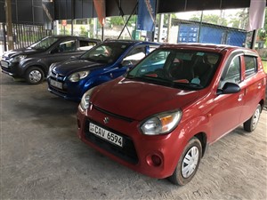 Alto 800 Car for Rent