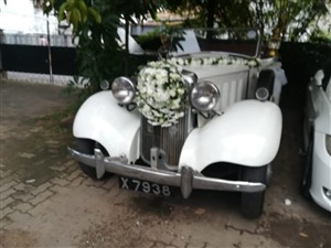 classic cars for wedding