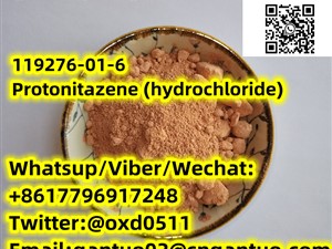 119276-01-6 Protonitazene (hydrochloride)