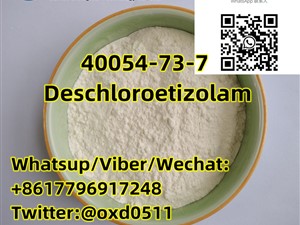40054-73-7 Deschloroetizolam