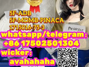 Synthetic cannabinoid Salvia divinorum 5F-ADB 5F-MDMB-PINACA 1715016-75-3 noids ADB-BUTINACA 5cladb 5cladba adbb jwh jwh018 209414-07-3 5F-ADB 5fadb ADB-FUBINACA AMB-FUBINACA accessories