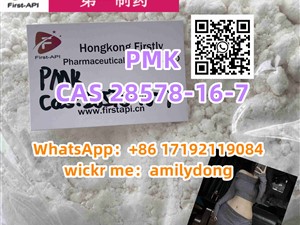 CAS 28578-16-7 PMK sale pmk powder