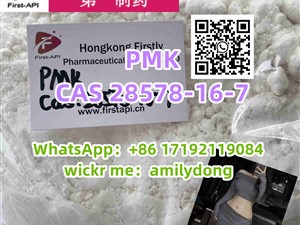 CAS 28578-16-7 PMK pmk powder sale