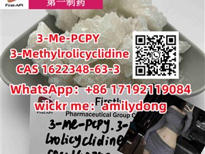 hot 3-Me-PCPY 3-Methylrolicyclidine CAS 1622348-63-3