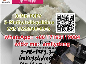 3-Me-PCPY 3-Methylrolicyclidine hot CAS 1622348-63-3