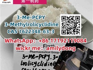 3-Me-PCPY Hot Factory 3-Methylrolicyclidine CAS 1622348-63-3
