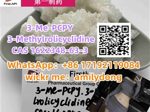 3-Me-PCPY 3-Methylrolicyclidine CAS 1622348-63-3 Hot Factory