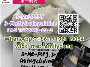 china sales 3-Me-PCPY 3-Methylrolicyclidine CAS 1622348-63-3