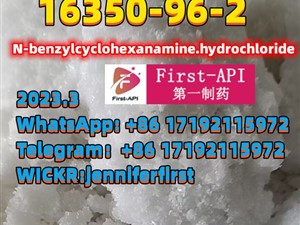 CAS.16350-96-2, N-benzylcyclohexanamine.hydrochloride