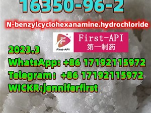 16350-96-2, N-benzylcyclohexanamine.hydrochloride