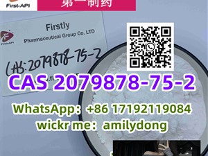 2-(2-Chlorophenyl)-2-nitrocyclohexanone china sales cas 2079878-75-2