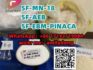 5F-MN-18 5F-AEB fast 5F-EBM-PINACA Synthetic cannabinoid