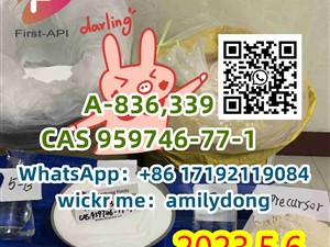 CAS 959746-77-1 china sales A-836,339