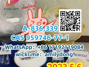 CAS 959746-77-1 A-836,339 china sales