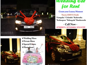 Wedding Car Rental