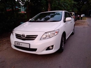 Toyota Corolla 141 For Rent