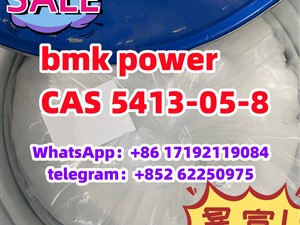 bmk/BMK power hot sale CAS 5413-05-8 Ethyl 3-oxo-2-phenylbutanoate