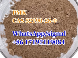 pmk/PMK power CAS 52190-28-0 hot sale