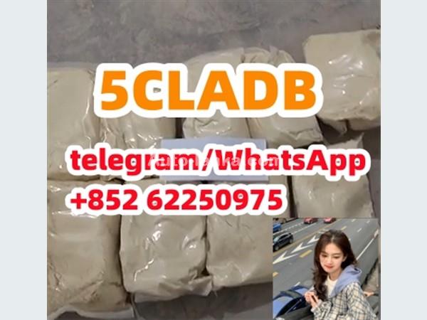 china 5cladb 5CLADB adbb ADBB Synthetic cannabinoid