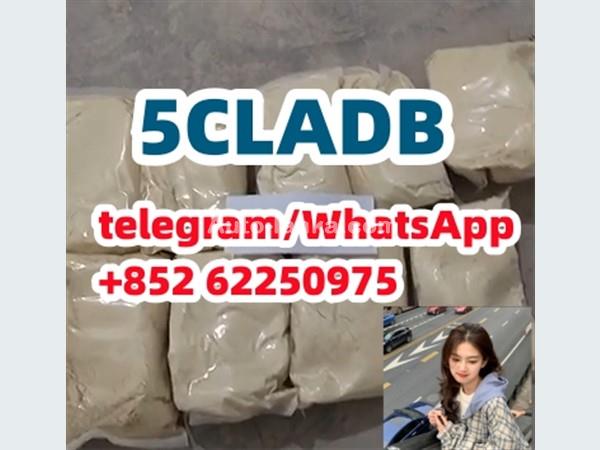 5cladb 5CLADB adbb china ADBB Synthetic cannabinoid