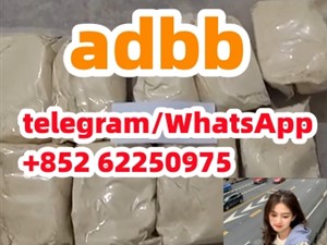 adbb HOT ADBB 5cladb 5CLADB Synthetic cannabinoid