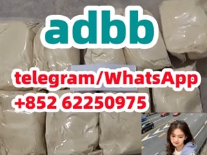 adbb ADBB 5cladb HOT 5CLADB Synthetic cannabinoid