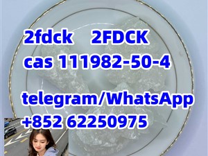 2FDCK 2fdck CAS 111982-50-4