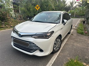 Car For rent Axio Hybrid