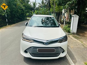 rent  a car for Axio Hybrid