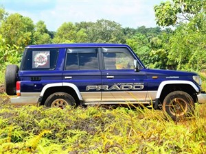 Land Cruiser BOX PRADO FOR RENT