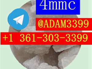 3mmc 3cmc 4-MMC 4MMC A-PVP a-PiHP 2FDCK Eutylone 102-97-6       1